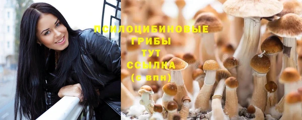 apvp Остров