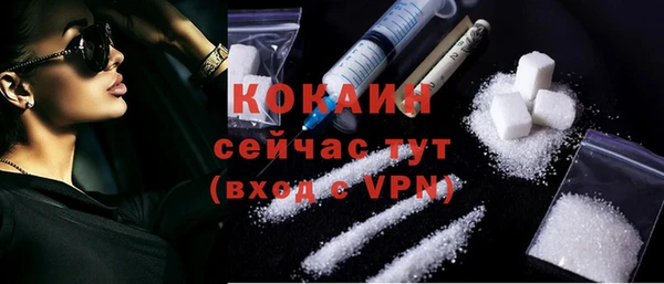 хмурый Осинники