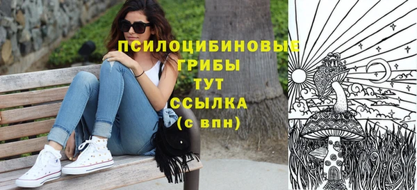 apvp Остров
