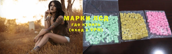 хмурый Осинники