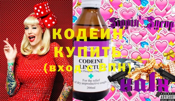 хмурый Осинники