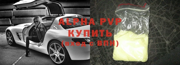 хмурый Осинники