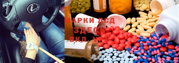 хмурый Осинники