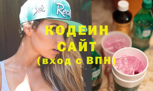 хмурый Осинники