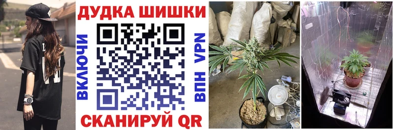 МАРИХУАНА сатива  Купить закладки  Камень-на-Оби 
